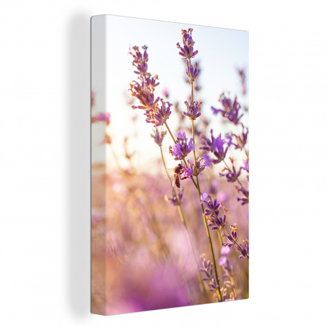 Canvas schilderij - Lavendel - Close-up - Zon - Bloemen-thumbnail-1