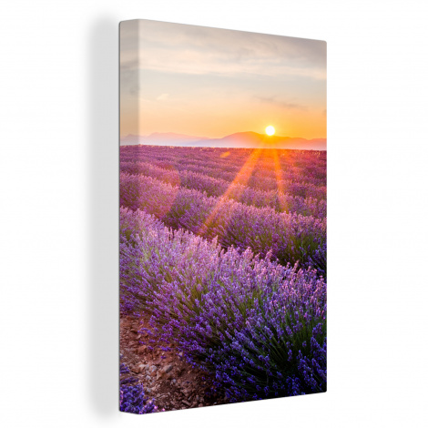 Canvas schilderij - Lavendel - Zonsondergang - Bloemen