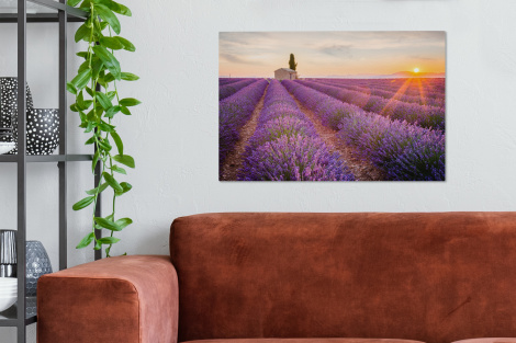 Leinwand - Lavendel - Sonnenuntergang - Blumen-thumbnail-2