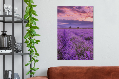 Canvas schilderij - Lavendel - Paars - Bloemen - Veld-2