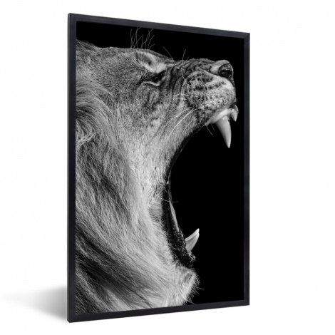 Poster mit Rahmen - Tiere - Löwe - Schwarz - Weiß - Porträt - Vertikal-1