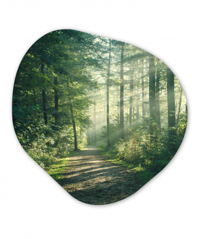 Organisches wandbild - Wald - Licht - Weg