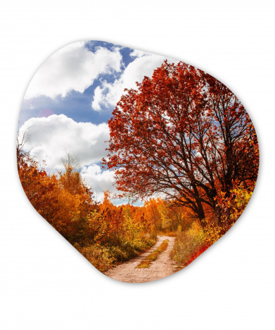 Organisches wandbild - Baum - Weg - Herbst