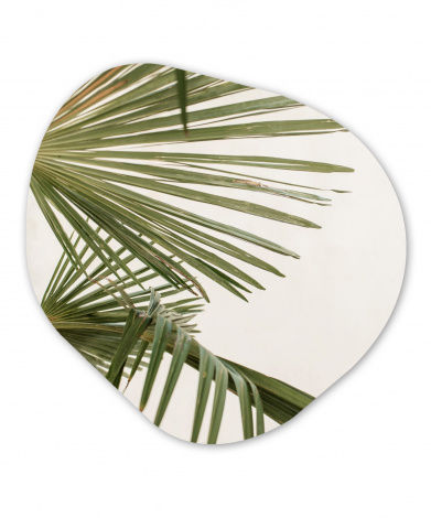 Organisch schilderij - Palmbladeren - Groen - Natuur
