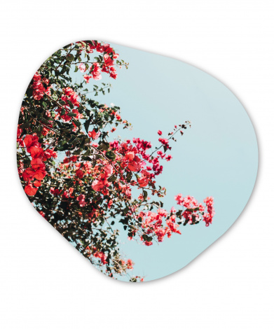 Organisch schilderij - Bloemen - Lucht - Roze-thumbnail-1