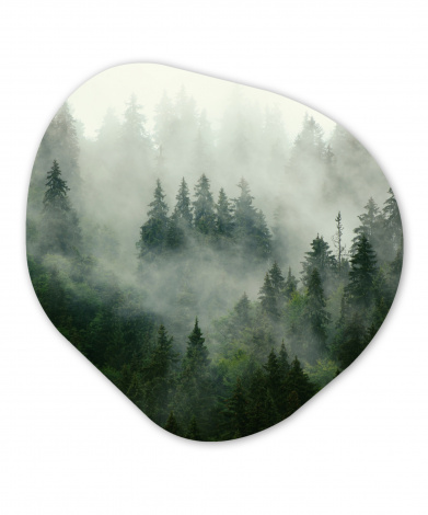 Organisches wandbild - Wald - Nebel - Bäume - Natur
