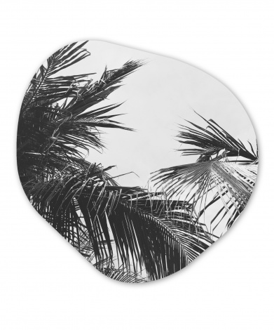 Organisch schilderij - Palmbladeren - Natuur - Vintage - Palmboom