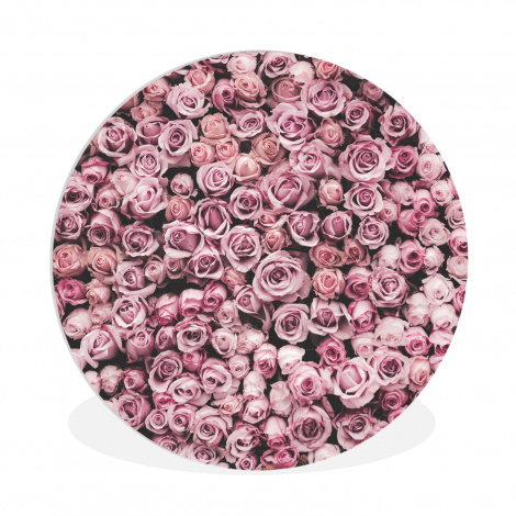 Runde Bilder - Blumen - Rosen - Natur - Rosa - Botanisch