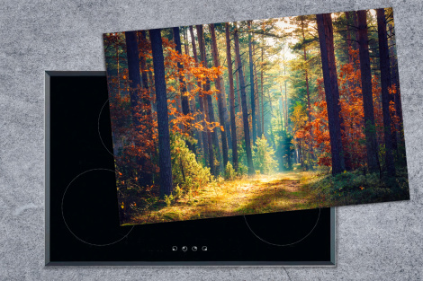 Herdabdeckplatte - Wald - Sonne - Natur - Herbst-thumbnail-1