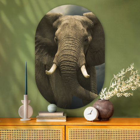 Muurovaal - Afrikaanse olifant tegen de donkere wolken-2