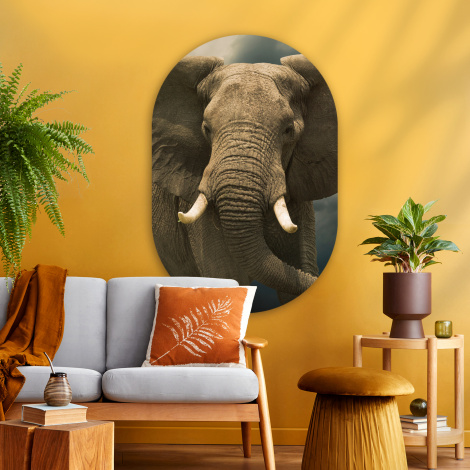 Muurovaal - Afrikaanse olifant tegen de donkere wolken-thumbnail-3