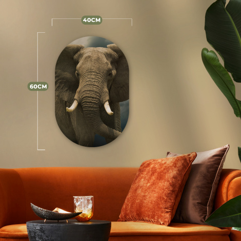 Muurovaal - Afrikaanse olifant tegen de donkere wolken-thumbnail-4