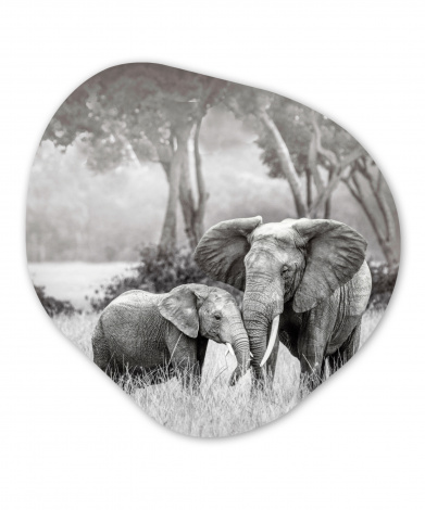 Organisch schilderij - Baby olifant met haar moeder in zwart-wit-thumbnail-1