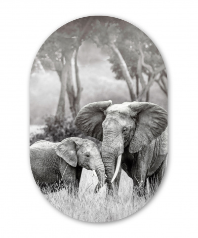 Muurovaal - Baby olifant met haar moeder in zwart-wit-1