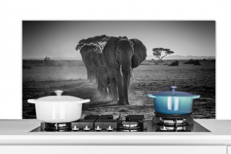 Spritzschutz Küche - Elefanten in Kenia in Schwarz und Weiß