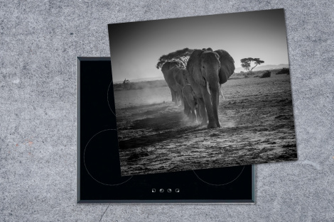Herdabdeckplatte Elefanten in Kenia in Schwarz und Weiß