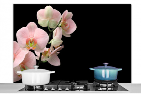 Spritzschutz Küche - Flora - Orchidee - Blumen-1