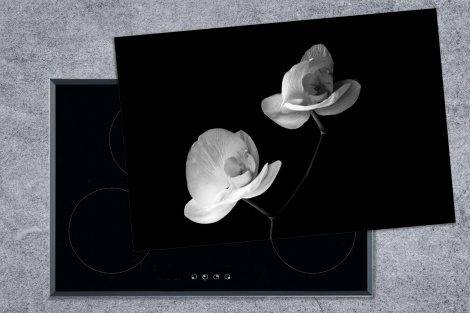 Herdabdeckplatte - Orchidee - Blumen - Schwarz - Weiß