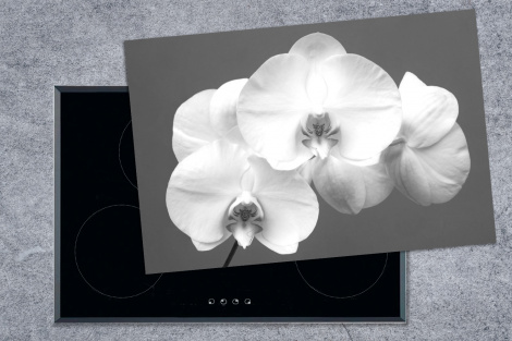 Inductiebeschermer - Witte orchidee - zwart wit