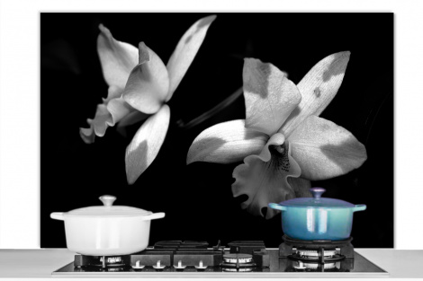 Spatscherm keuken - Twee orchidee bloemen - zwart wit-1
