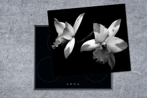 Inductiebeschermer - Twee orchidee bloemen - zwart wit-1