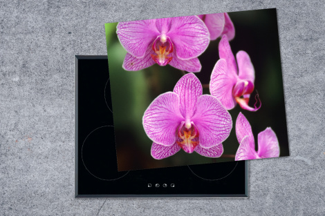 Inductiebeschermer - Roze orchidee-1