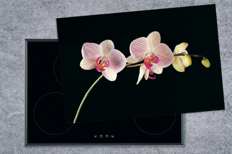 Inductiebeschermer - Orchidee - Bloemen - Zwart - Roze - Knoppen-thumbnail-1