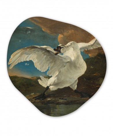 Organisch schilderij - De bedreigde zwaan - Schilderij van Jan Asselijn
