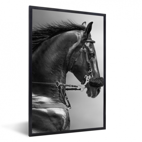 Poster met lijst - Paarden - Zwart - Portret - Dieren - Staand-1