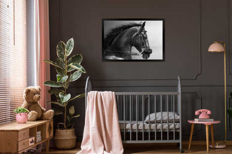 Poster met lijst - Paarden - Zwart - Portret - Dieren - Liggend-3