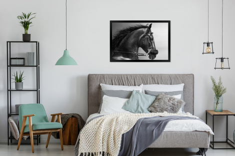Poster met lijst - Paarden - Zwart - Portret - Dieren - Liggend-4