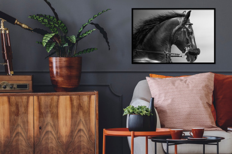 Poster met lijst - Paarden - Zwart - Portret - Dieren - Liggend-2