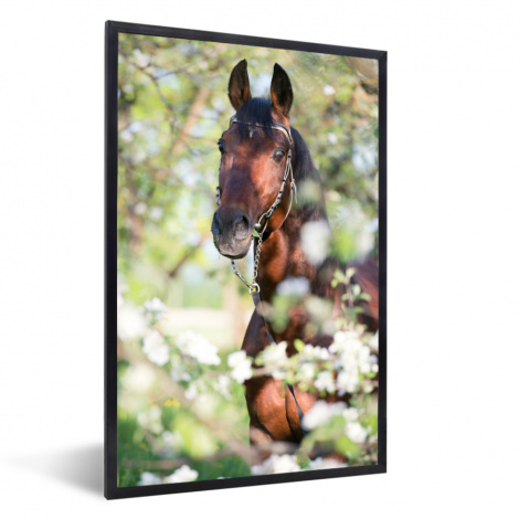 Poster mit Rahmen - Pferde - Blüte - Frühling - Tiere - Vertikal-1
