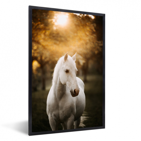 Poster met lijst - Paard - Zon - Herfst - Dieren - Natuur - Staand