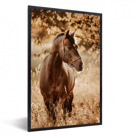 Poster met lijst - Paard - Zon - Portret - Natuur - Bruin - Staand-1