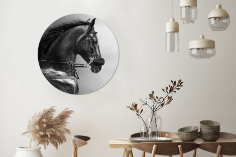 Behangcirkel - Paarden - Zwart - Portret - Dieren-3