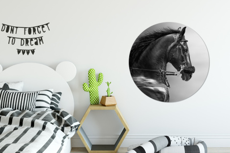 Behangcirkel - Paarden - Zwart - Portret - Dieren-thumbnail-2