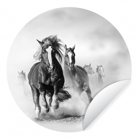 Runde Tapete - Pferde - Tiere - Illustration