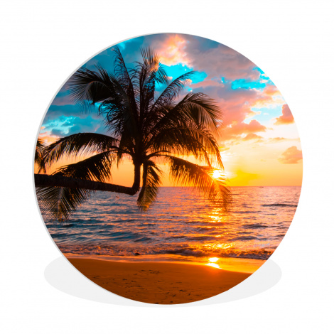 Runde Bilder - Palme - Sonnenuntergang - Horizont - Strand - Meer - Tropisch-1