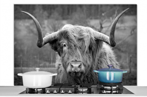 Spatscherm keuken - Schotse Hooglander - Koeienkop - Landschap - Natuur - Koe-1