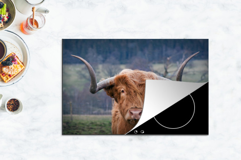 Protège-plaque à induction - Highlander écossais - Tête de vache - Paysage - Nature - Vache-4