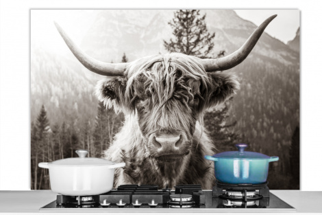 Spatscherm keuken - Schotse hooglander - Koe - Zwart - Wit