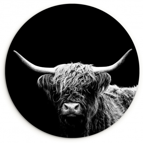 Runde Bilder - Schottischer Highlander - Kuh - Schwarz - Weiß - Tiere-thumbnail-1