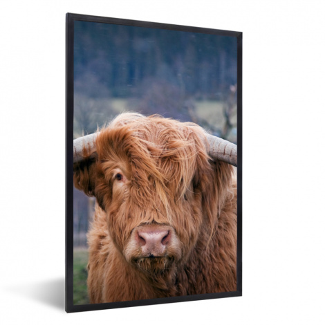 Poster met lijst - Schotse Hooglander - Koeienkop - Landschap - Natuur - Koe - Staand-thumbnail-1