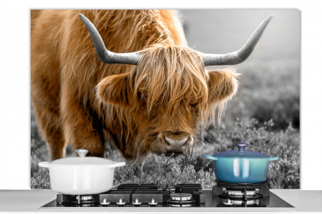 Spatscherm keuken - Schotse Hooglander - Dieren - Bruin - Koe - Zwart - Wit - Natuur