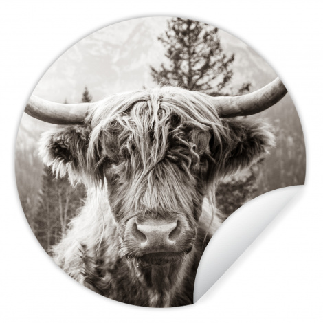 Runde Tapete - Schottischer Highlander - Kuh - Tiere - Schwarz - Weiß-thumbnail-1