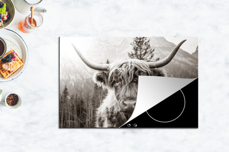 Herdabdeckplatte - Schottischer Highlander - Kuh - Tiere - Schwarz - Weiß-4