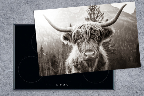 Herdabdeckplatte - Schottischer Highlander - Kuh - Tiere - Schwarz - Weiß-1