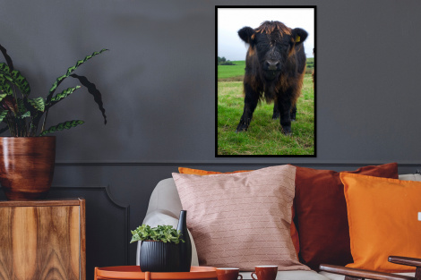 Poster met lijst - Schotse hooglander - Koeien - Natuur - Groen - Gras - Staand-2