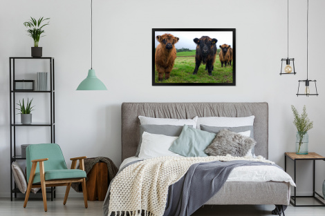 Poster met lijst - Schotse hooglander - Koeien - Natuur - Groen - Gras - Liggend-4